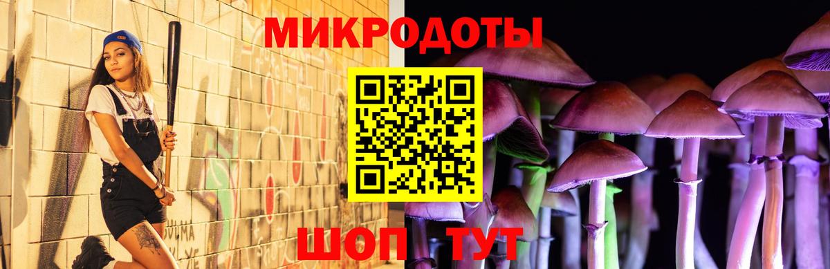 Галлюциногенные грибы Cubensis  Псилоцибиновые грибы GOLDEN TEACHER  Красный Сулин  Вход с VPN 
