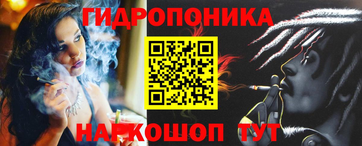 Конопля сатива Красный Сулин